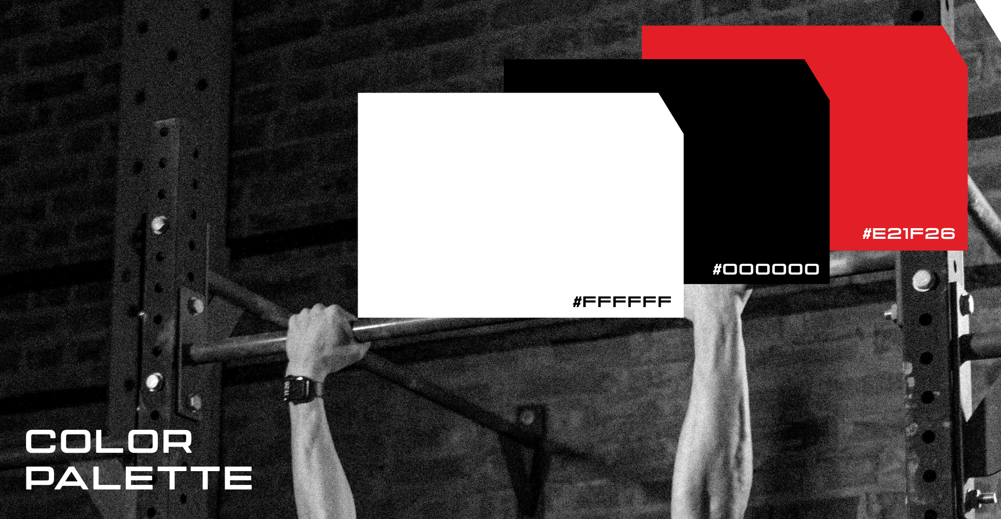 Neogym portfolio logo screen 8-min