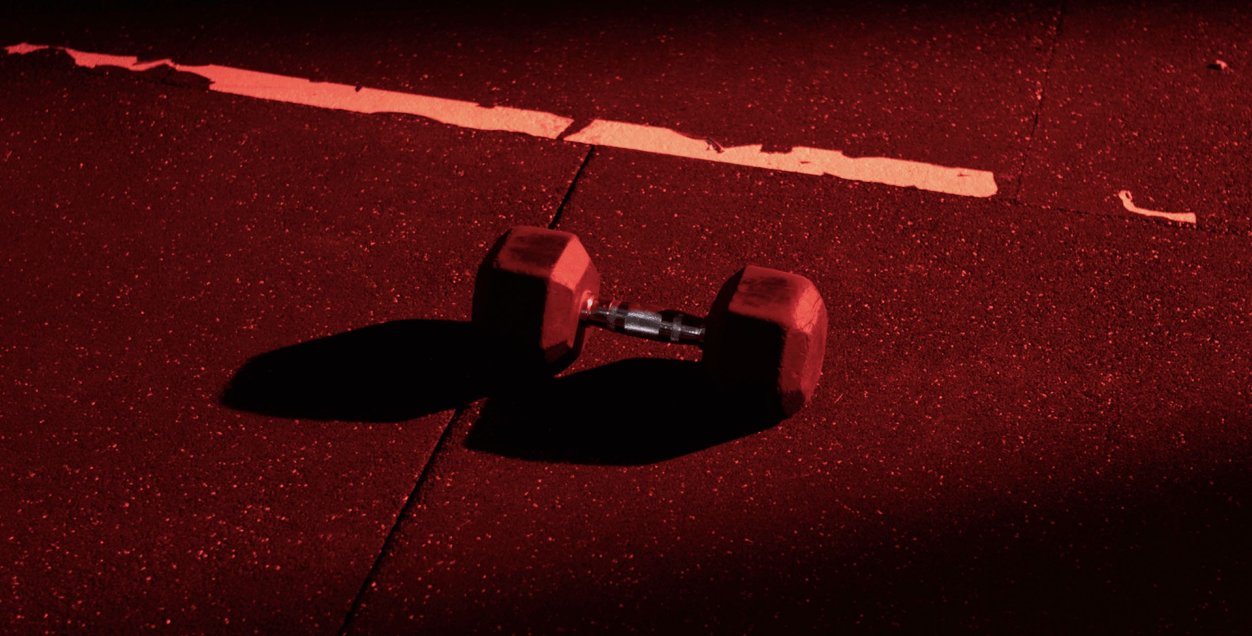 Neogym portfolio logo header-min