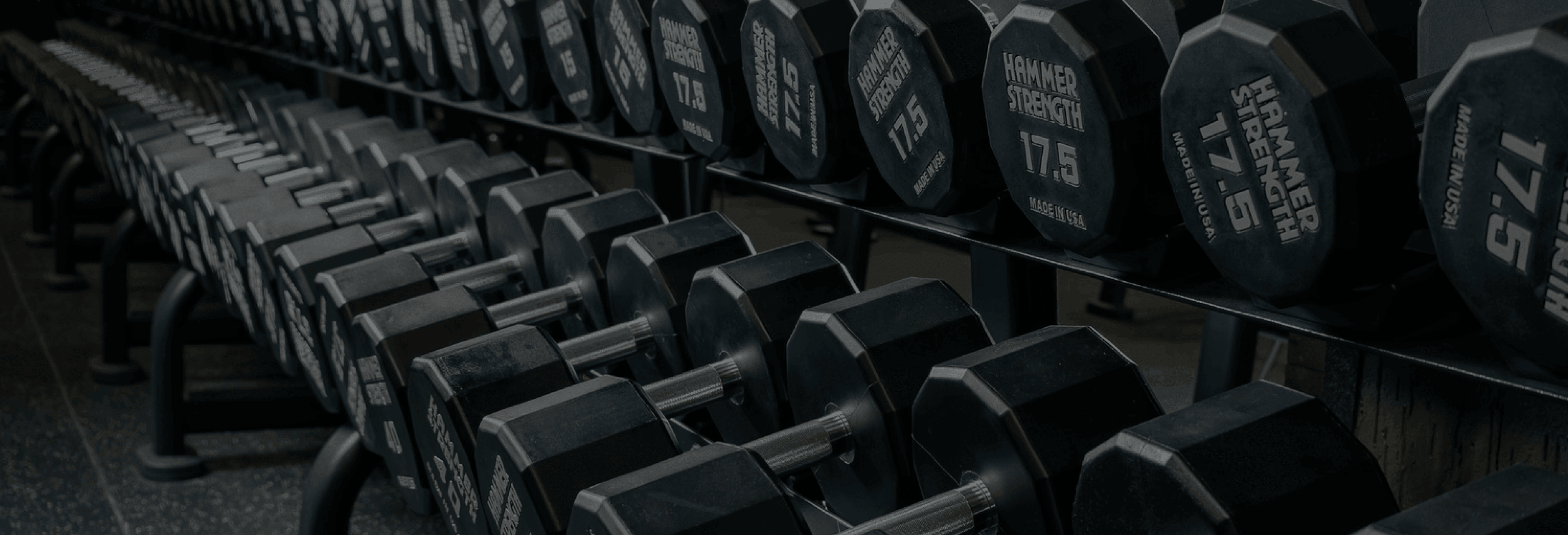 neogym header