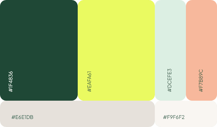 Concept portfolio networkx website color palette