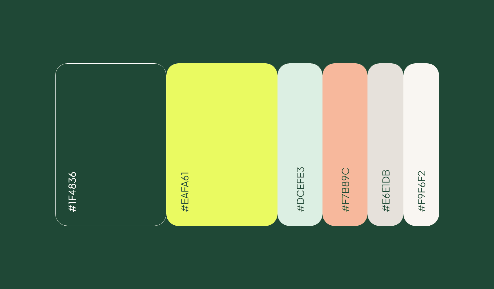 Concept Portfolio networkx color palette